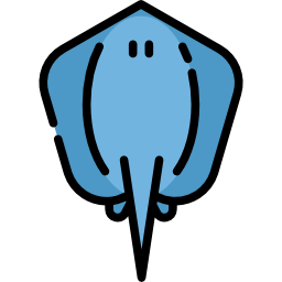 stingray2